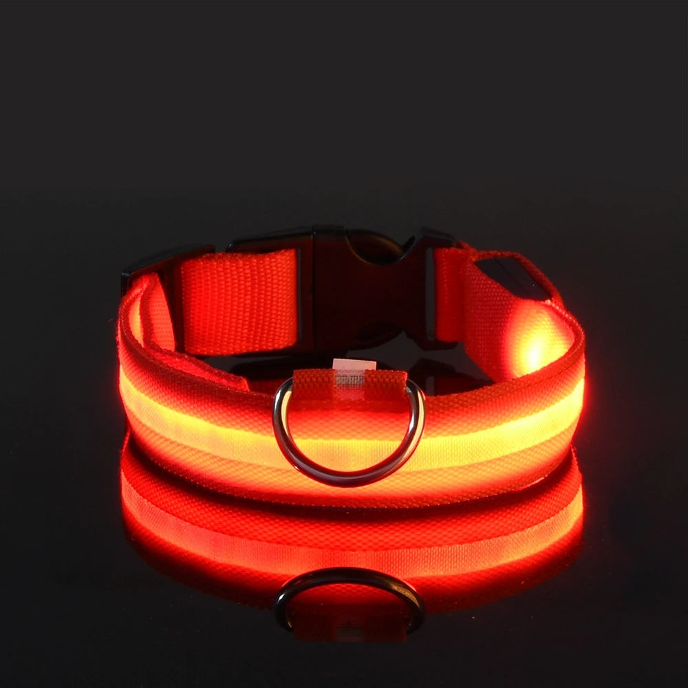 Collar LED Luminoso para Perros | Luminous LED Dog Collar