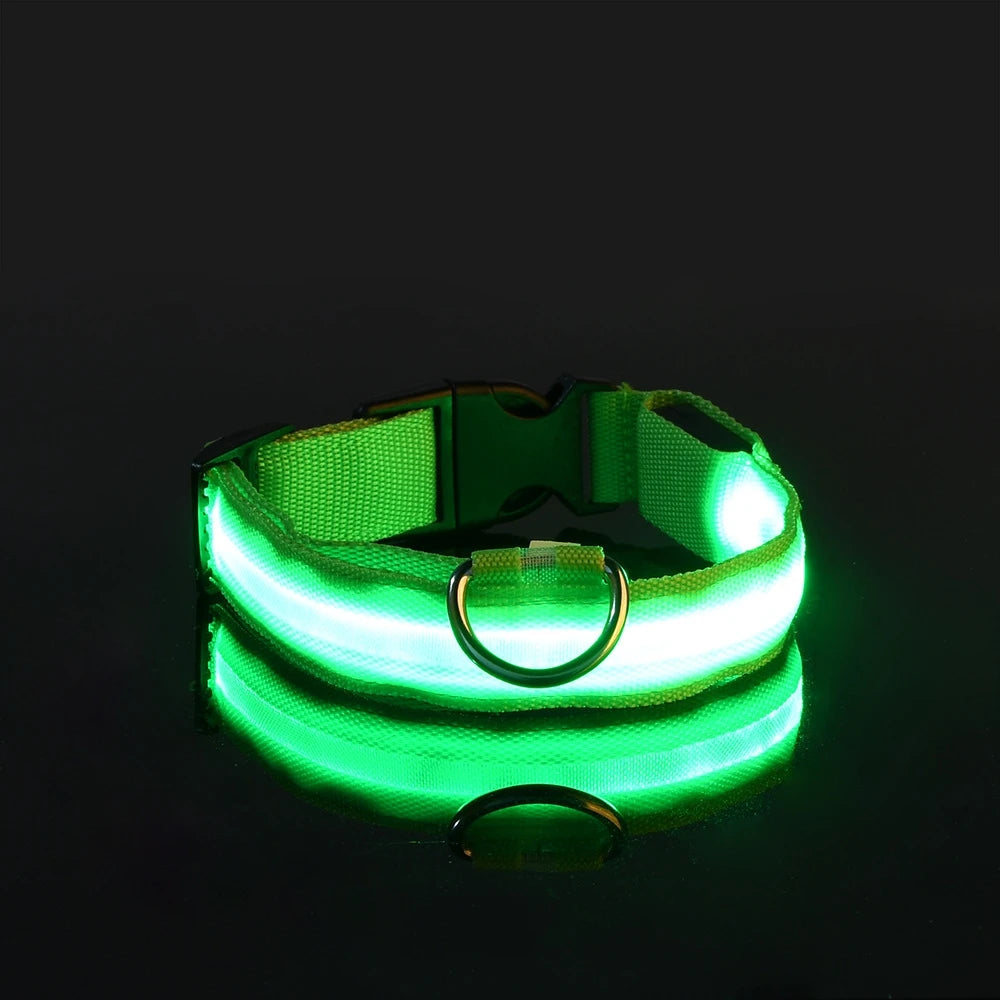 Collar LED Luminoso para Perros | Luminous LED Dog Collar
