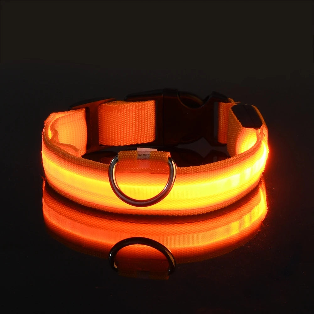 Collar LED Luminoso para Perros | Luminous LED Dog Collar