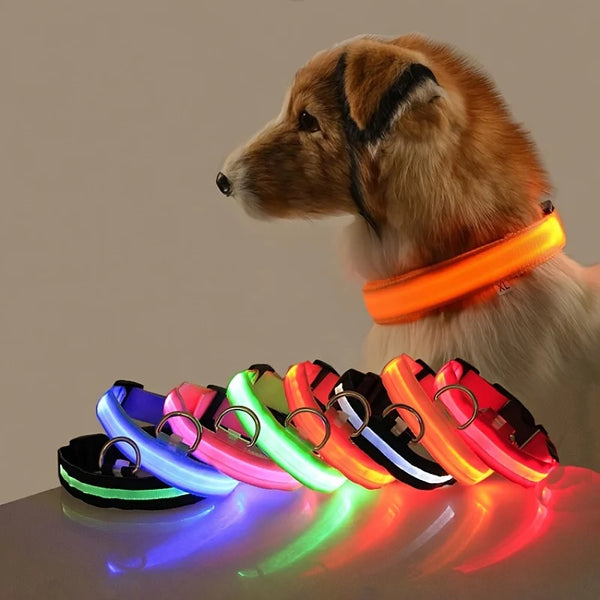Collar LED Luminoso para Perros | Luminous LED Dog Collar