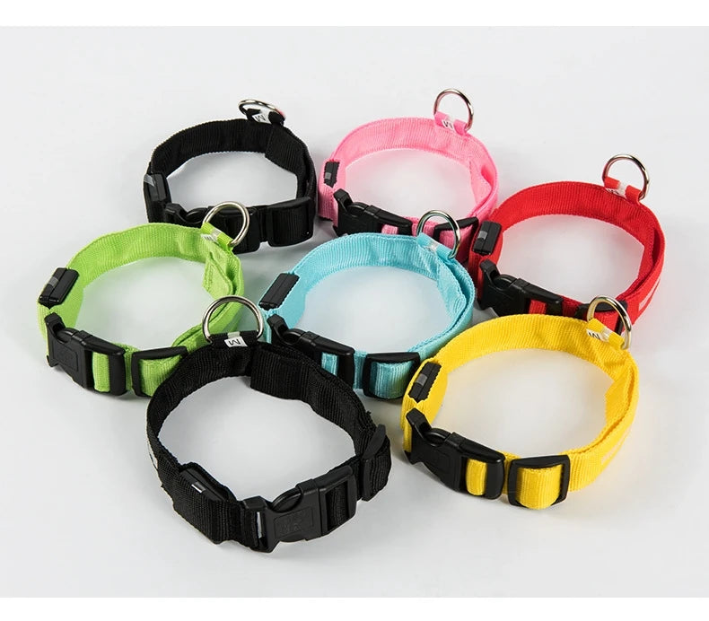 Collar LED Luminoso para Perros | Luminous LED Dog Collar