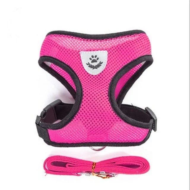 Arnés Ajustable Reflectante con Correa para Gatos y Perros | Adjustable Reflective Harness & Leash for Cats & Dogs