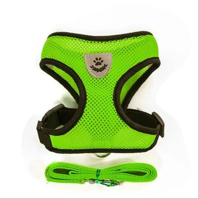 Arnés Ajustable Reflectante con Correa para Gatos y Perros | Adjustable Reflective Harness & Leash for Cats & Dogs