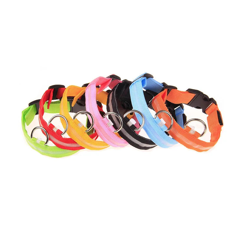 Collar LED Luminoso para Perros | Luminous LED Dog Collar