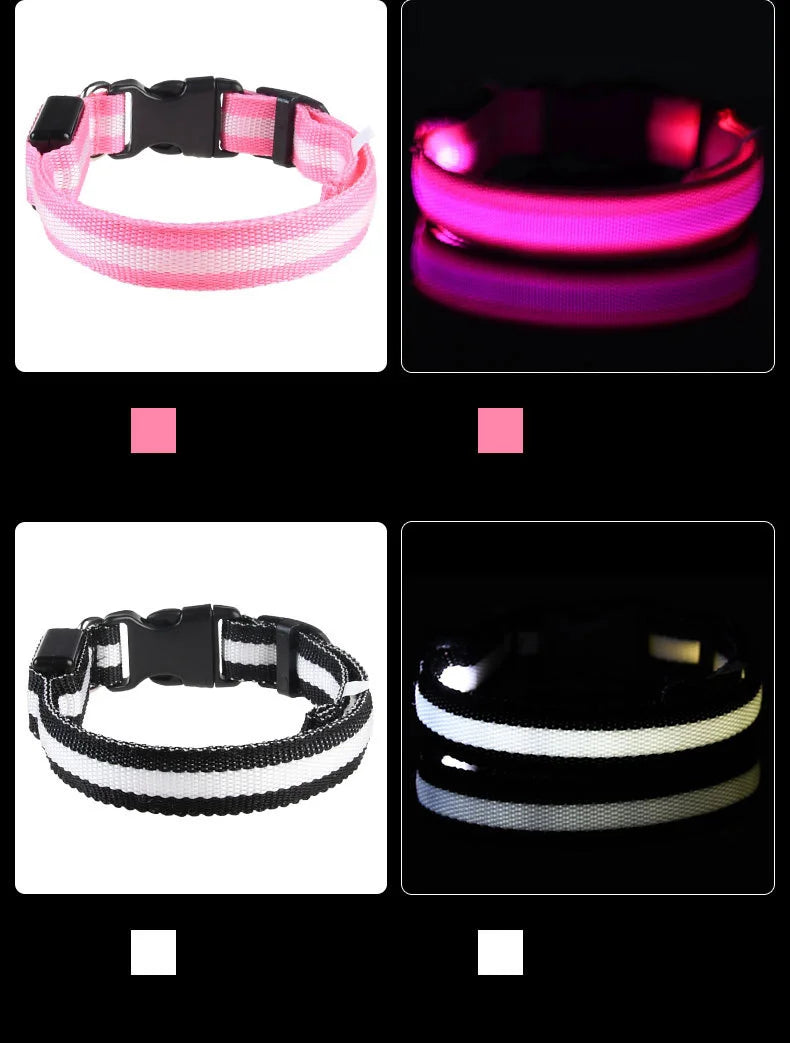 Collar LED Luminoso para Perros | Luminous LED Dog Collar