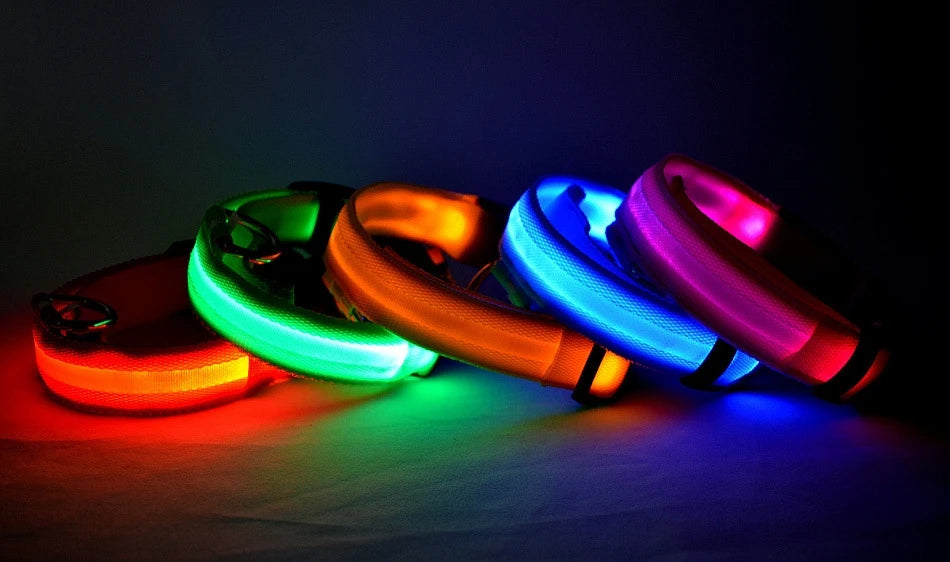 Collar LED Luminoso para Perros | Luminous LED Dog Collar