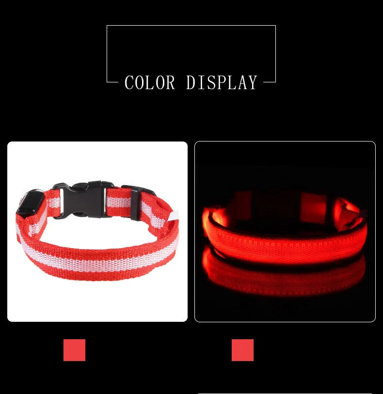 Collar LED Luminoso para Perros | Luminous LED Dog Collar