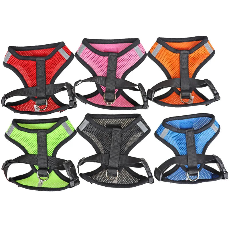 Arnés Ajustable Reflectante con Correa para Gatos y Perros | Adjustable Reflective Harness & Leash for Cats & Dogs