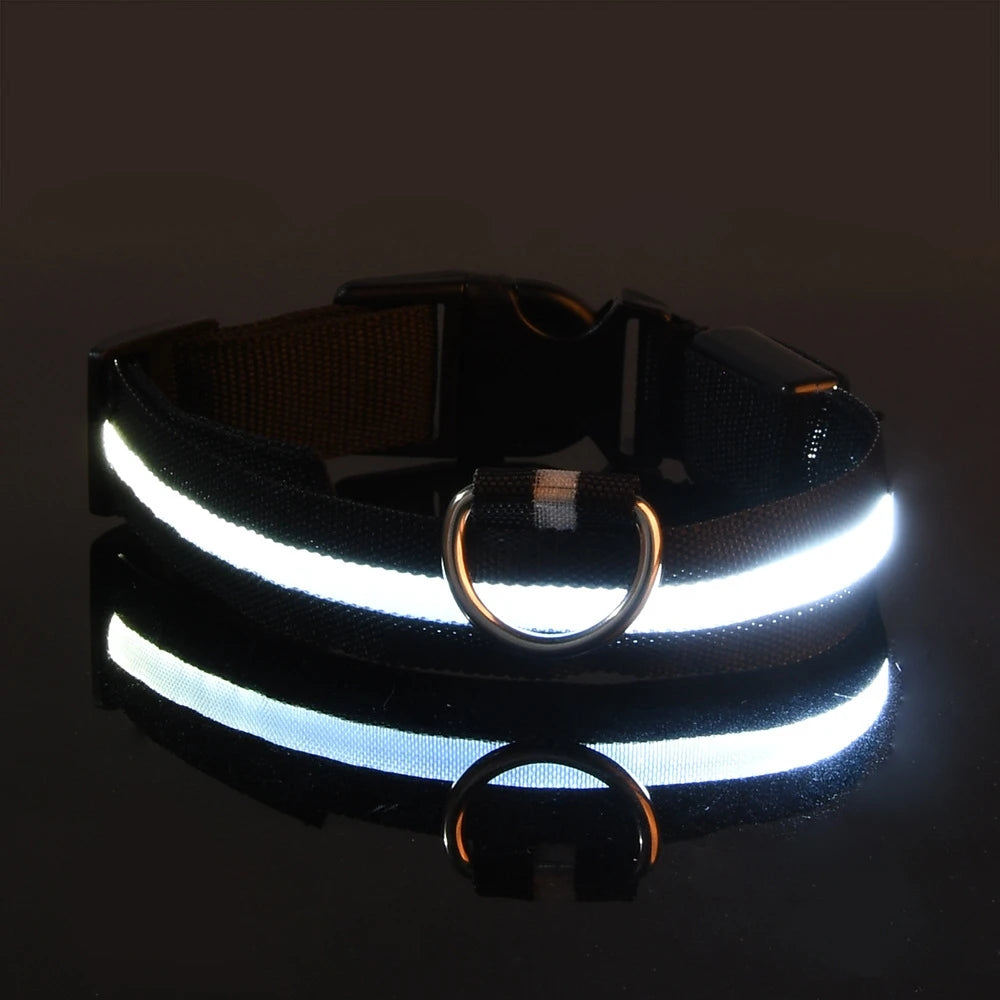 Collar LED Luminoso para Perros | Luminous LED Dog Collar