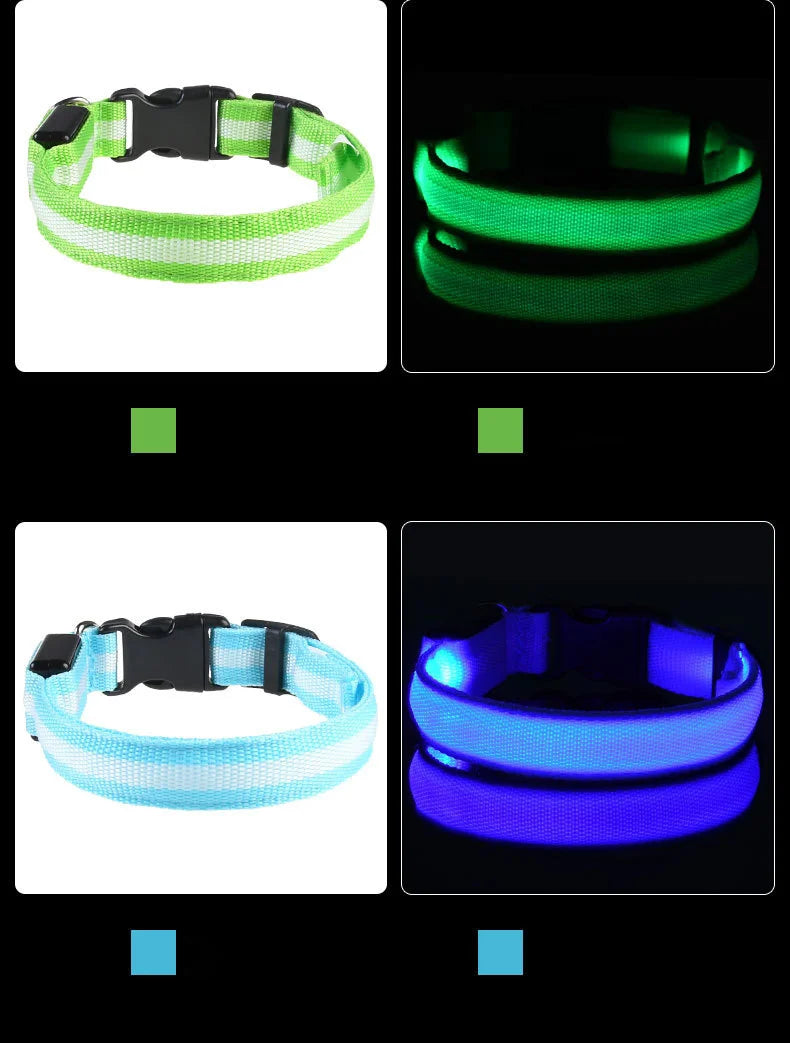 Collar LED Luminoso para Perros | Luminous LED Dog Collar