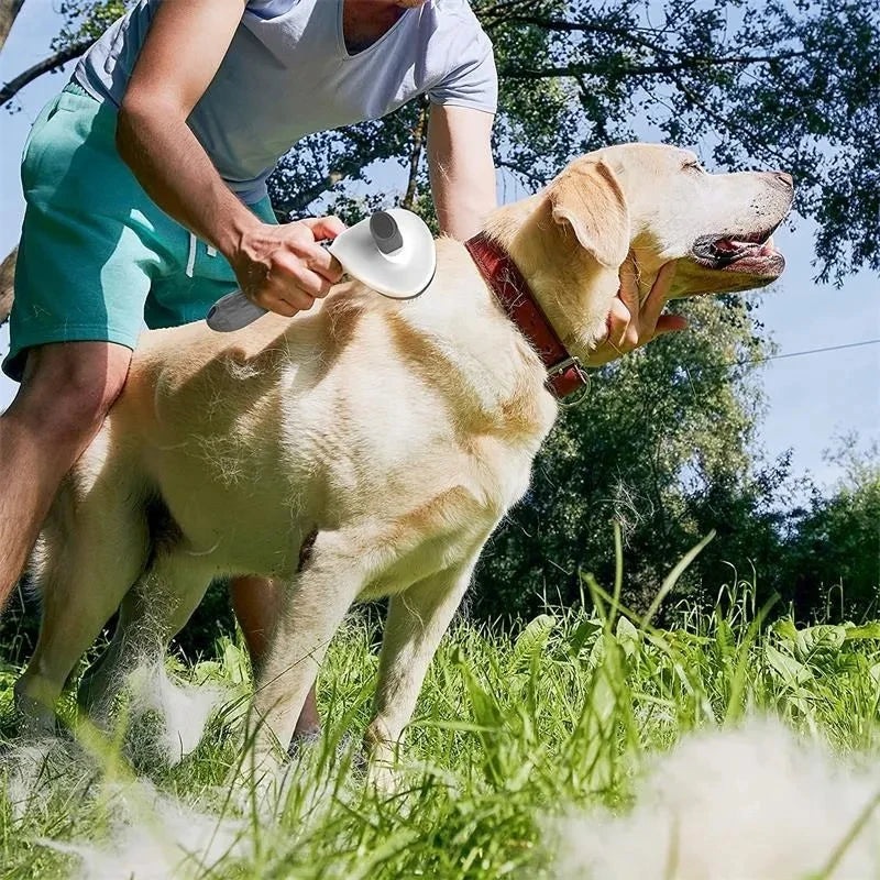 Cepillo Autolimpiante y Desenredante para Mascotas | Self-Cleaning Pet Brush