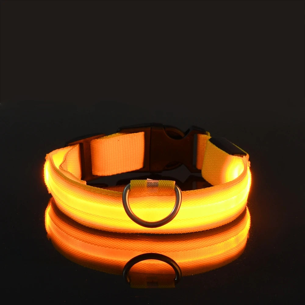 Collar LED Luminoso para Perros | Luminous LED Dog Collar