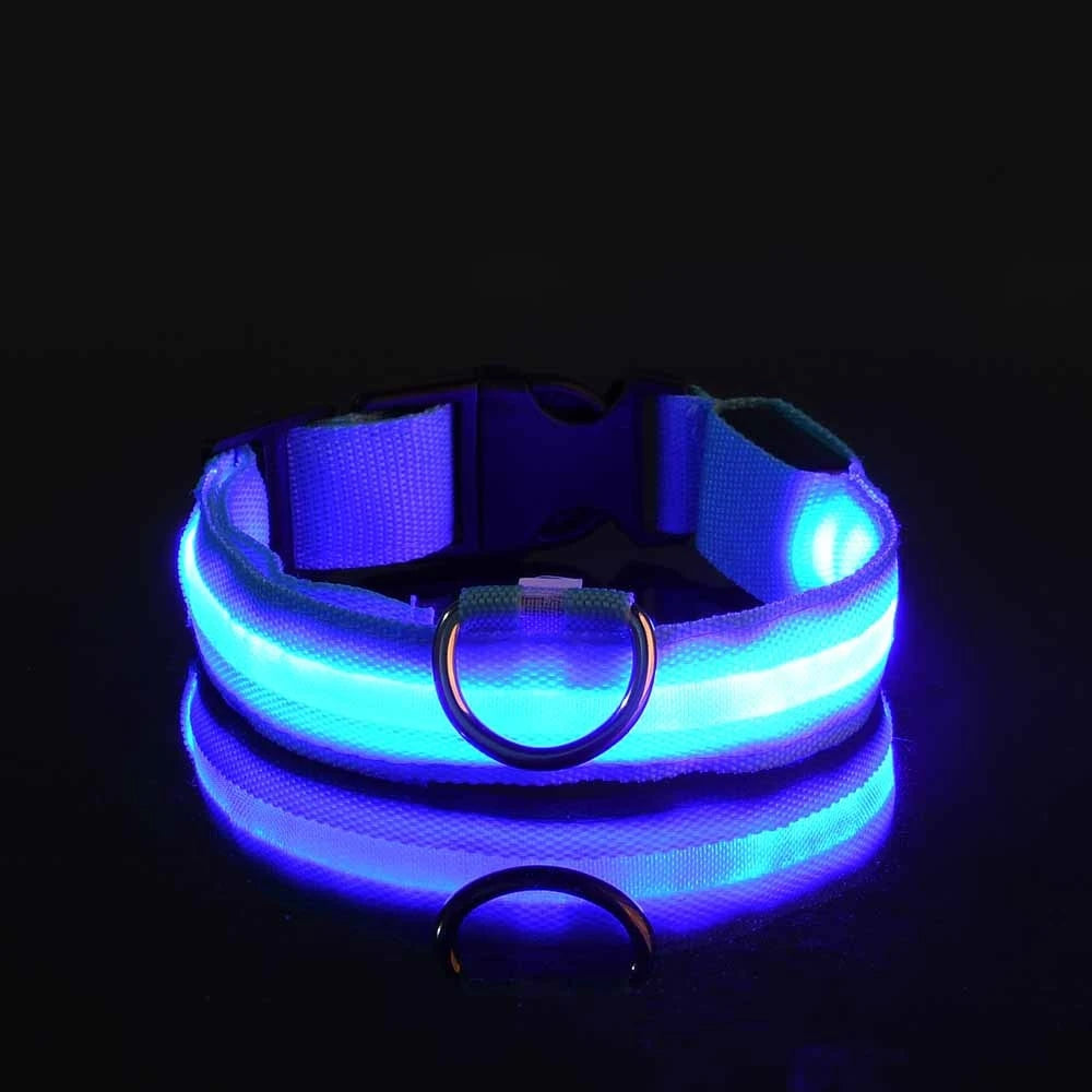 Collar LED Luminoso para Perros | Luminous LED Dog Collar
