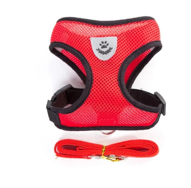 Arnés Ajustable Reflectante con Correa para Gatos y Perros | Adjustable Reflective Harness & Leash for Cats & Dogs
