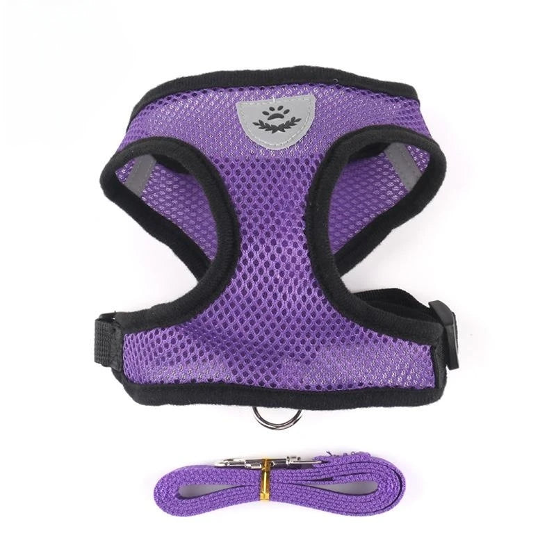 Arnés Ajustable Reflectante con Correa para Gatos y Perros | Adjustable Reflective Harness & Leash for Cats & Dogs