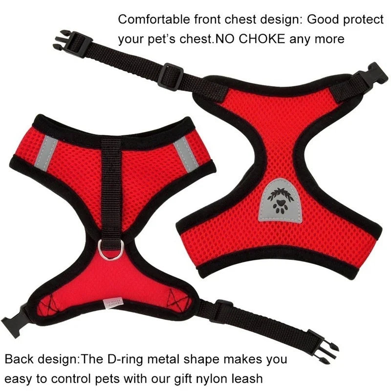 Arnés Ajustable Reflectante con Correa para Gatos y Perros | Adjustable Reflective Harness & Leash for Cats & Dogs