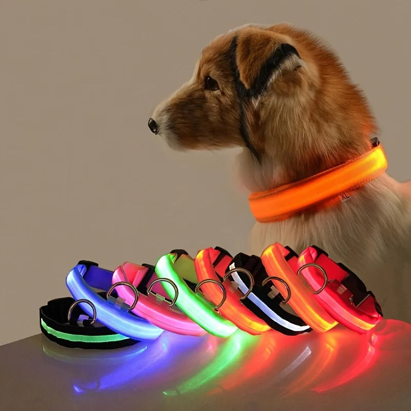 Collar LED Luminoso para Perros | Luminous LED Dog Collar