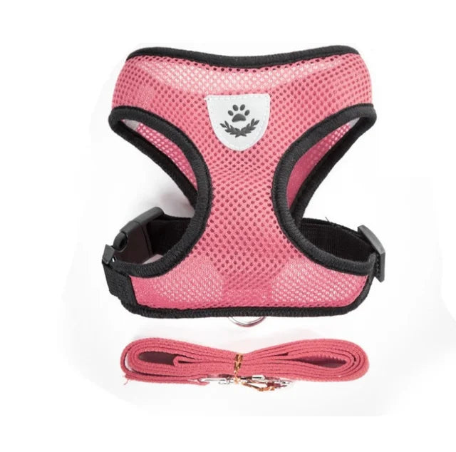 Arnés Ajustable Reflectante con Correa para Gatos y Perros | Adjustable Reflective Harness & Leash for Cats & Dogs