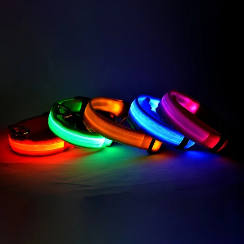 Collar LED Luminoso para Perros | Luminous LED Dog Collar