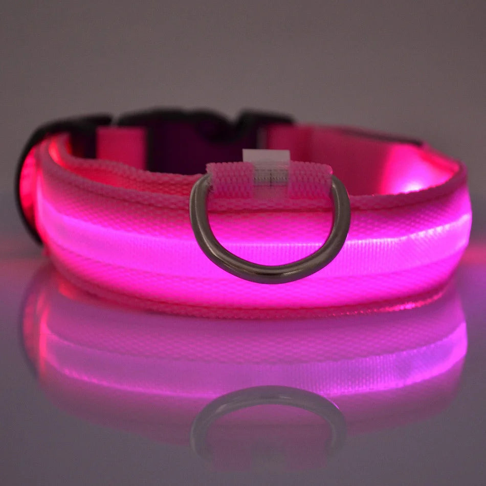 Collar LED Luminoso para Perros | Luminous LED Dog Collar