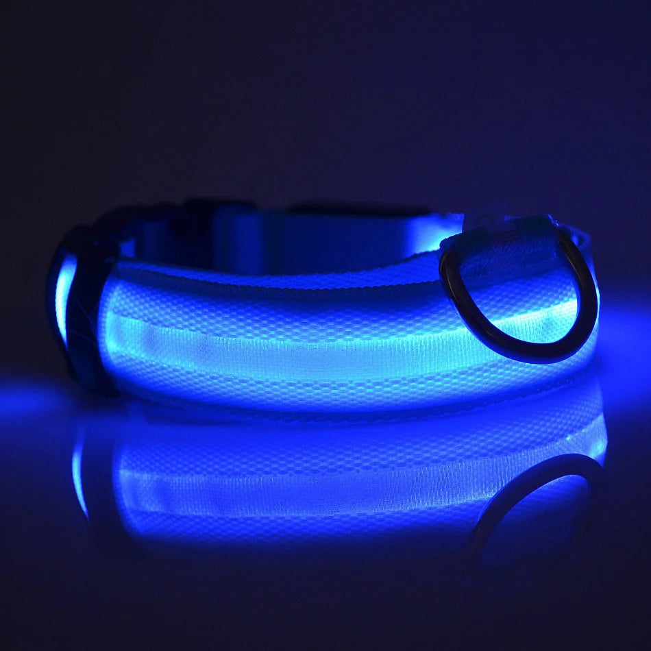 Collar LED Luminoso para Perros | Luminous LED Dog Collar