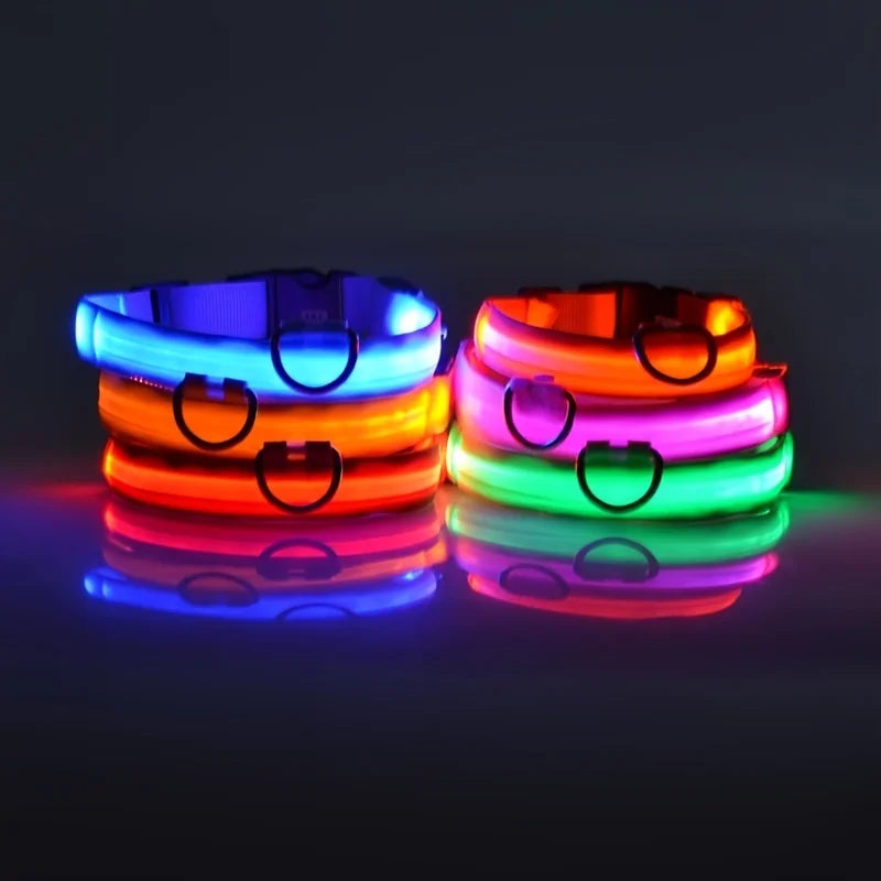 Collar LED Luminoso para Perros | Luminous LED Dog Collar
