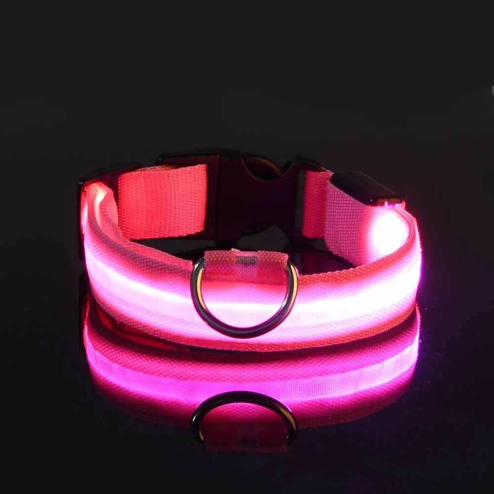 Collar LED Luminoso para Perros | Luminous LED Dog Collar