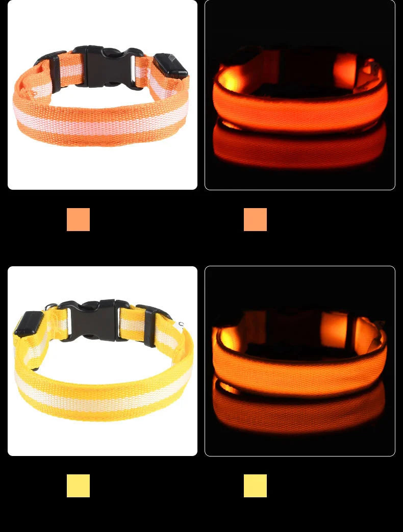Collar LED Luminoso para Perros | Luminous LED Dog Collar
