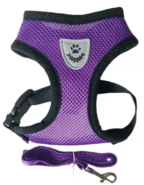 Arnés Ajustable Reflectante con Correa para Gatos y Perros | Adjustable Reflective Harness & Leash for Cats & Dogs