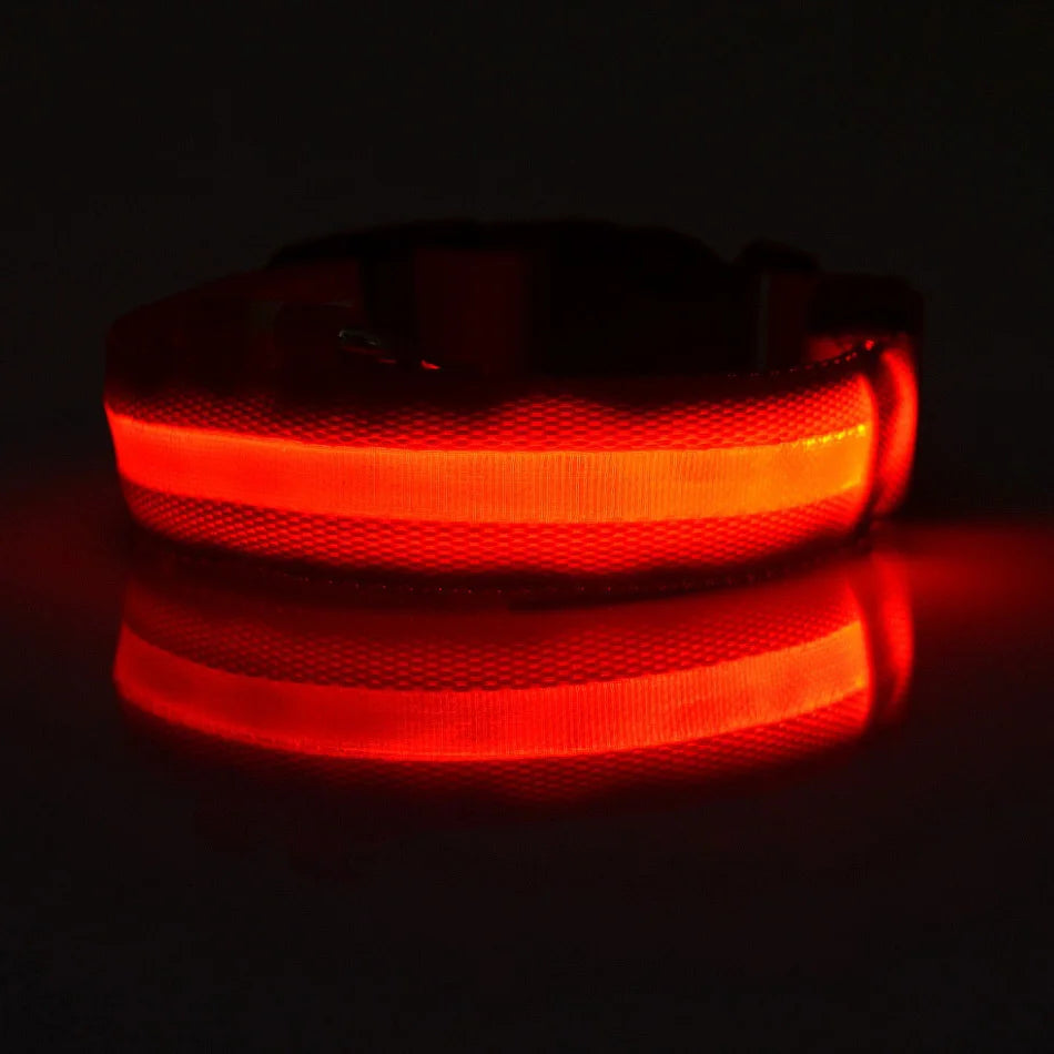 Collar LED Luminoso para Perros | Luminous LED Dog Collar